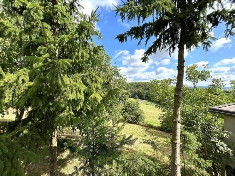 Altrich zwei Wohnhäuser und rd. 20.000 qm Land direkt am Haus (Nähe zur Stadt Wittlich 5 km) Haus kaufen