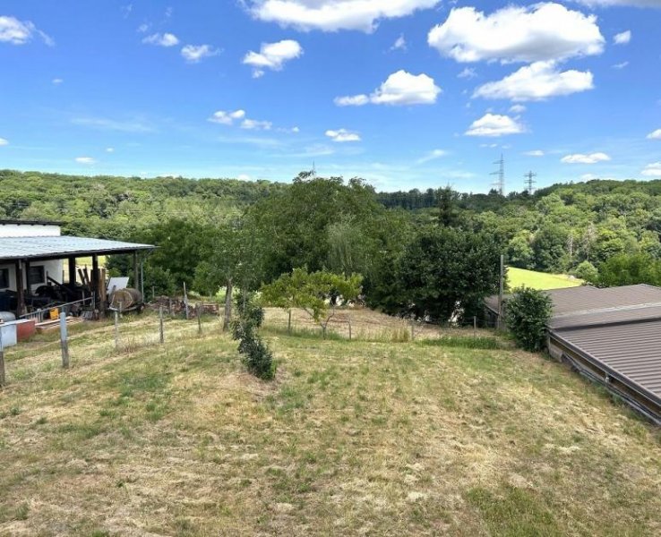 Altrich zwei Wohnhäuser und rd. 20.000 qm Land direkt am Haus (Nähe zur Stadt Wittlich 5 km) Haus kaufen