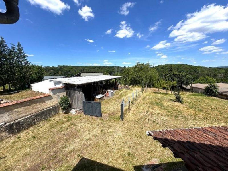 Altrich zwei Wohnhäuser und rd. 20.000 qm Land direkt am Haus (Nähe zur Stadt Wittlich 5 km) Haus kaufen