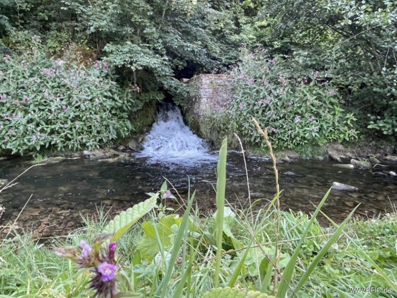 Gerolstein Campingplatz, Zimmervermietung und Gastronomie - gepflegte Familienexistenz in der Eifel Gewerbe kaufen