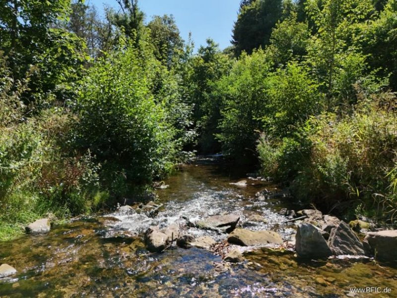 Gerolstein Campingplatz, Zimmervermietung und Gastronomie - gepflegte Familienexistenz in der Eifel Gewerbe kaufen