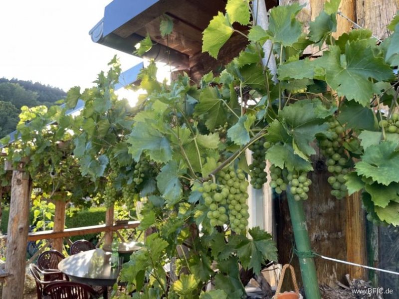 Gerolstein Campingplatz, Zimmervermietung und Gastronomie - gepflegte Familienexistenz in der Eifel Gewerbe kaufen