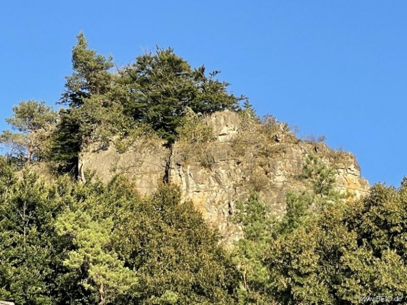Mürlenbach Campingplatz in beliebter Urlaubsregion - umsatzstarke Vollexistenz in Bestzustand, Betreiberwohnung Gewerbe kaufen