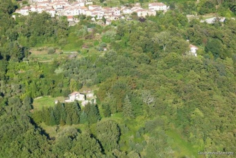 Giustagnana Seravezza Alleinlage mit Meerblick - Landhaus mit viel Land und phantastischem Meerblick Haus kaufen