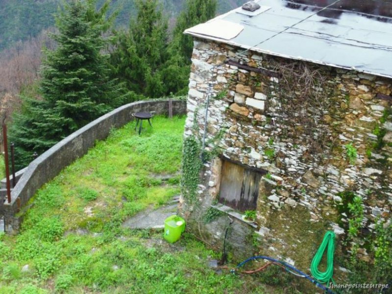Giustagnana Seravezza Alleinlage mit Meerblick - Landhaus mit viel Land und phantastischem Meerblick Haus kaufen