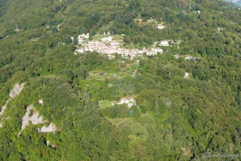 Giustagnana Seravezza Alleinlage mit Meerblick - Landhaus mit viel Land und phantastischem Meerblick Haus kaufen