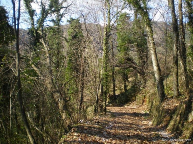 Giustagnana Seravezza Alleinlage mit Meerblick - Landhaus mit viel Land und phantastischem Meerblick Haus kaufen