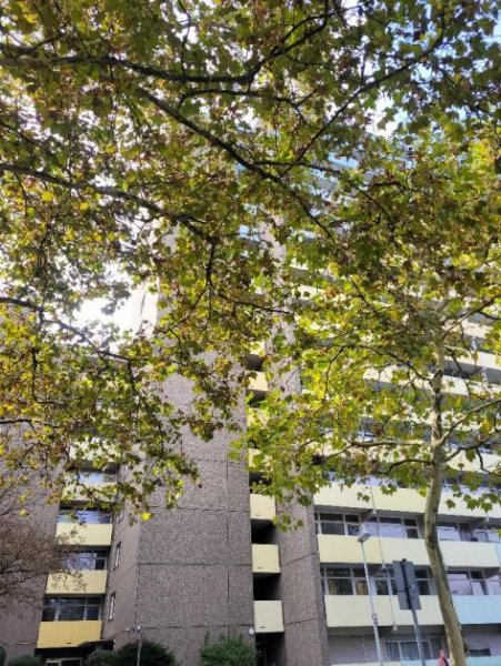 Mainz KAPITALANLAGE: Neuwertige, schicke 2-Zimmer-Wohnung mit Balkon und Stellplatz in ruhiger Lage Wohnung kaufen