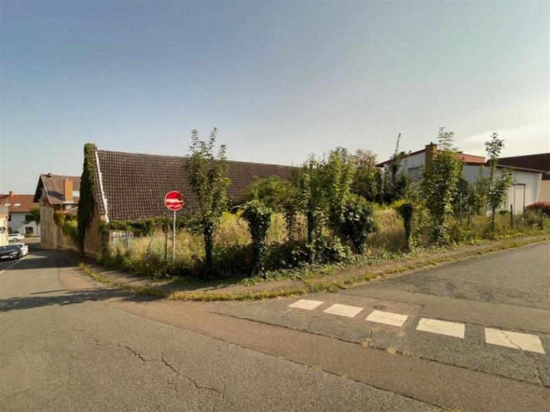 Essenheim EUPORA® Immobilien: Schöner Winzerhof mit Scheunen und Weinkellern in Essenheim bei Mainz. Haus kaufen
