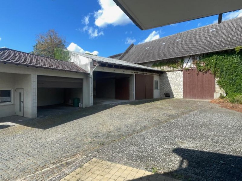 Essenheim EUPORA® Immobilien: Schöner Winzerhof mit Scheunen und Weinkellern in Essenheim bei Mainz. Haus kaufen