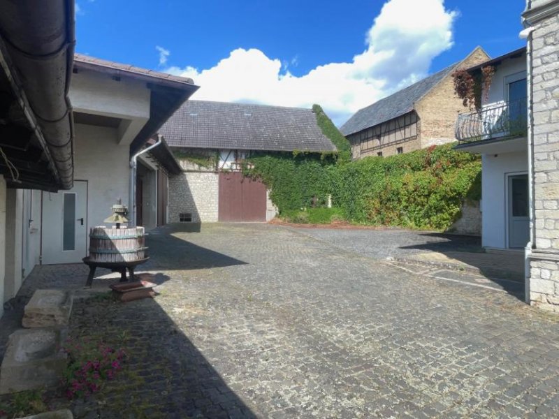 Essenheim EUPORA® Immobilien: Schöner Winzerhof mit Scheunen und Weinkellern in Essenheim bei Mainz. Haus kaufen