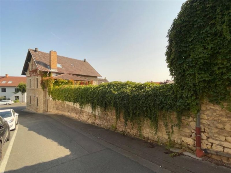Essenheim EUPORA® Immobilien: Schöner Winzerhof mit Scheunen und Weinkellern in Essenheim bei Mainz. Haus kaufen