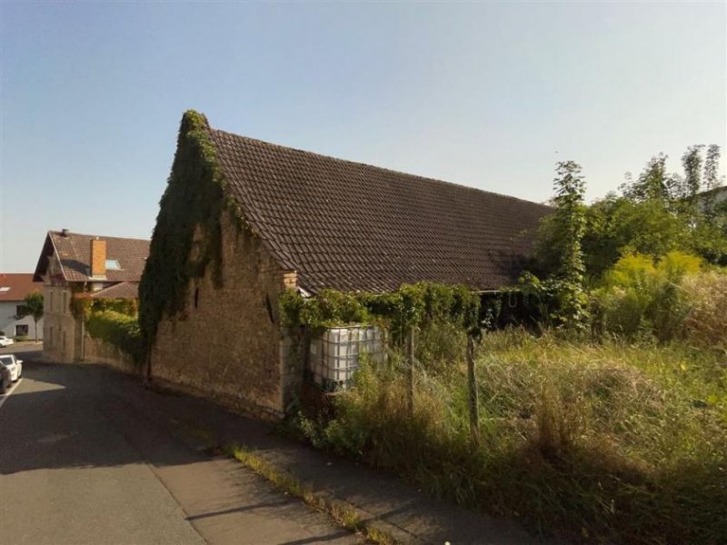 Essenheim EUPORA® Immobilien: Schöner Winzerhof mit Scheunen und Weinkellern in Essenheim bei Mainz. Haus kaufen