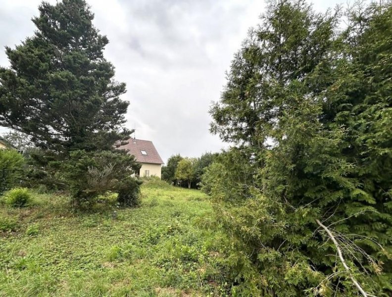 Kirchberg (Hunsrück) Einfamilienwohnhaus im kleinen Ort Nähe Kirchberg (2,5 km) mit großem Garten u. Garage Haus kaufen