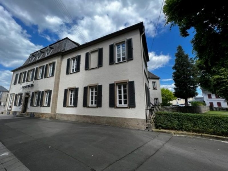 Bad Sobernheim TOP Gelegenheit! Historisches Stadthaus/Villa in zentraler Lage von Bad Sobernheim zu verkaufen Haus kaufen