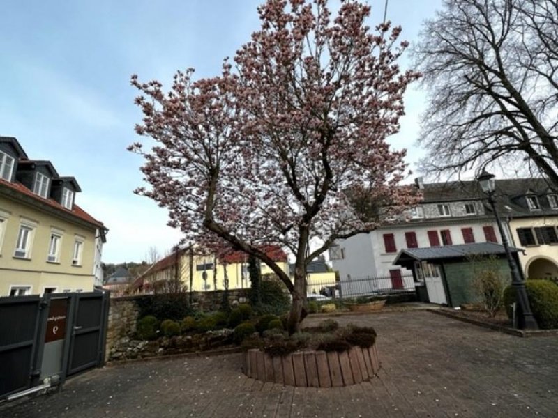 Bad Sobernheim TOP Gelegenheit! Historisches Stadthaus/Villa in zentraler Lage von Bad Sobernheim zu verkaufen Haus kaufen