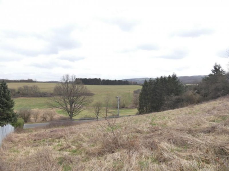 Hennweiler Voll erschlossenes Baugrundstück in ruhiger Sackgasse mit südöstlicher Hanglage in Hennweiler Grundstück kaufen
