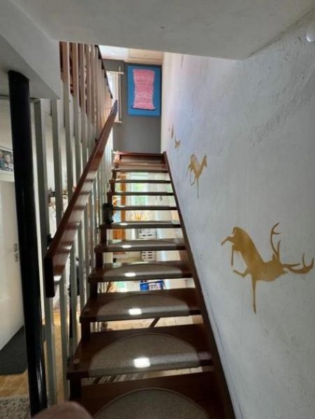 Hottenbach Hier tobt nicht nur das Leben, Ihre Kinder dürfen es auch. (M)Einfamilienhaus mit Garten-mit Blumen Haus kaufen