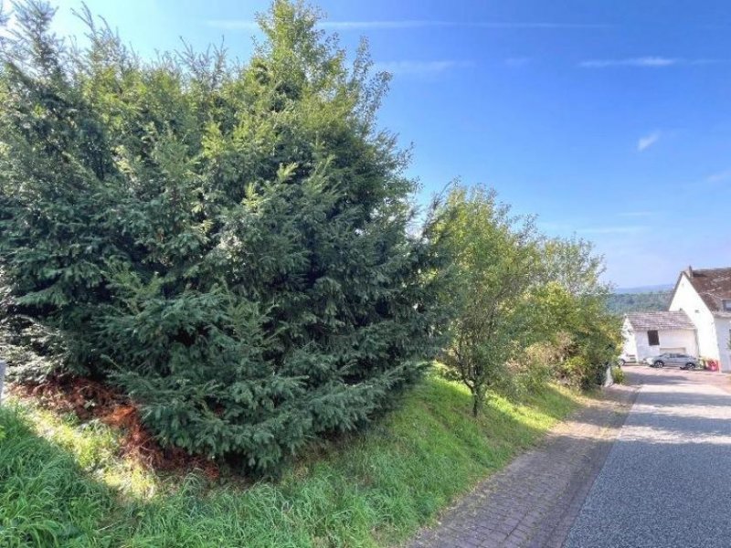 Hillscheid Hillscheid, Baugrundstück in ruhiger Lage Grundstück kaufen