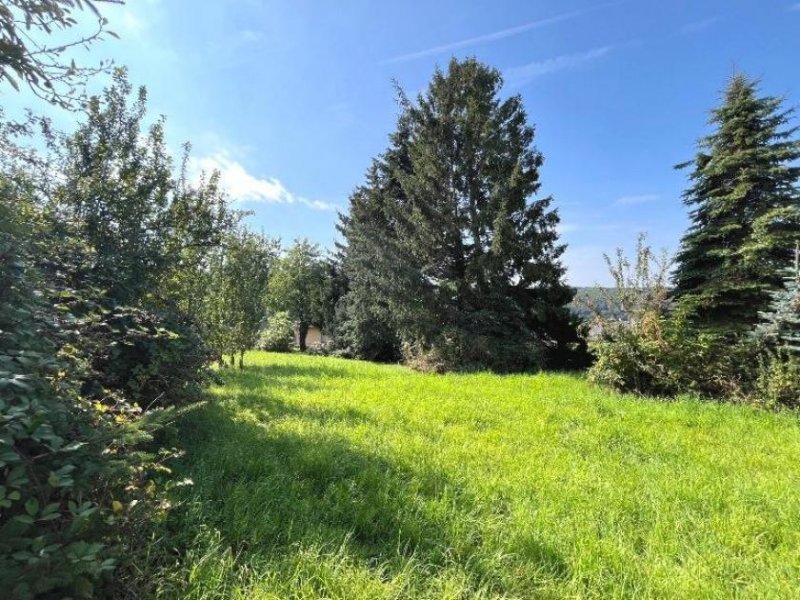 Hillscheid Hillscheid, Baugrundstück in ruhiger Lage Grundstück kaufen