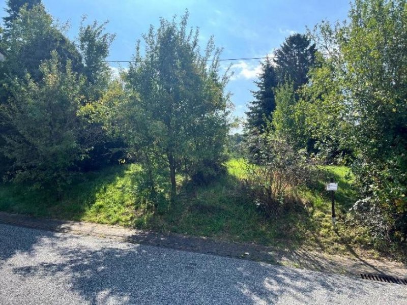 Hillscheid Hillscheid, Baugrundstück in ruhiger Lage Grundstück kaufen