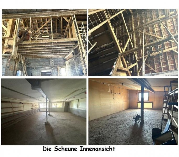 Macken Wohnhaus mit großen Lagerräumen und Parkflächen (für Handwerksbetrieb geeignet) mit Photovoltaik 9 kWp Haus kaufen