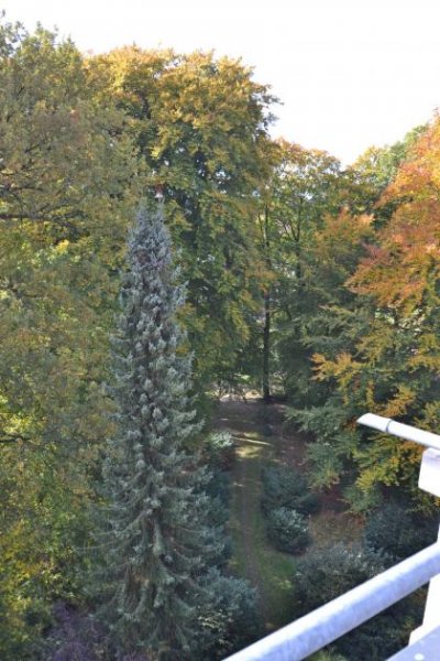 Ehlscheid Penthouse-Wohnung in schöner, ruhiger Waldrandlage Wohnung kaufen