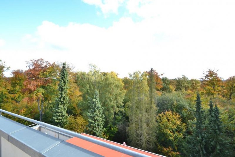 Ehlscheid Sanierungsobjekt: Eigentums-Penthousewohnung in schöner, ruhiger Waldrandlage Wohnung kaufen