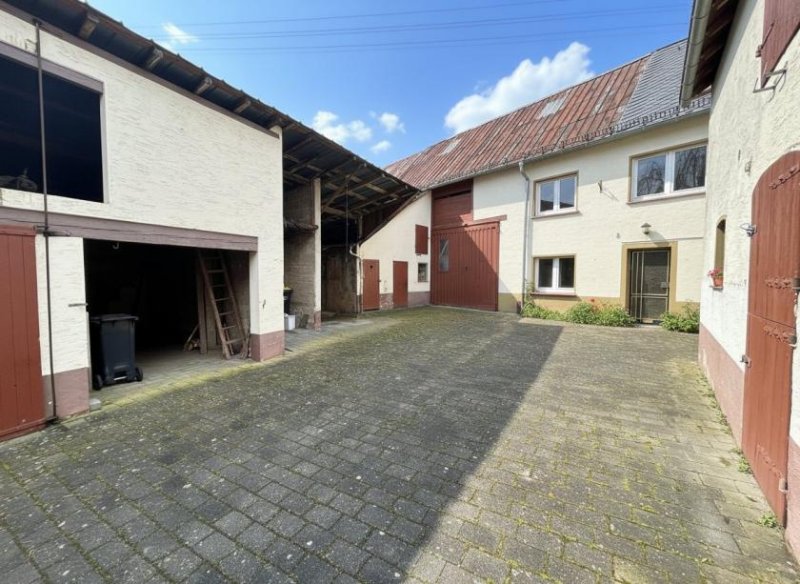 Nachtsheim Bauernhaus mit viel Platz in Eifel Nähe der Stadt Mayen Haus kaufen