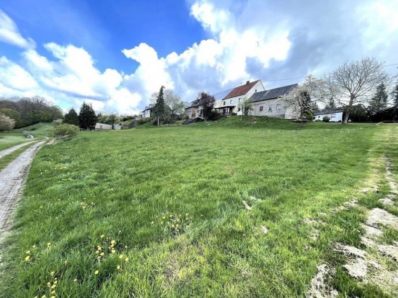 Auderath Eifel-Bauernhaus im ruhigen Ort Nähe Ulmen mit 3.134 qm Land, Scheune, Stallungen und Bauland Haus kaufen