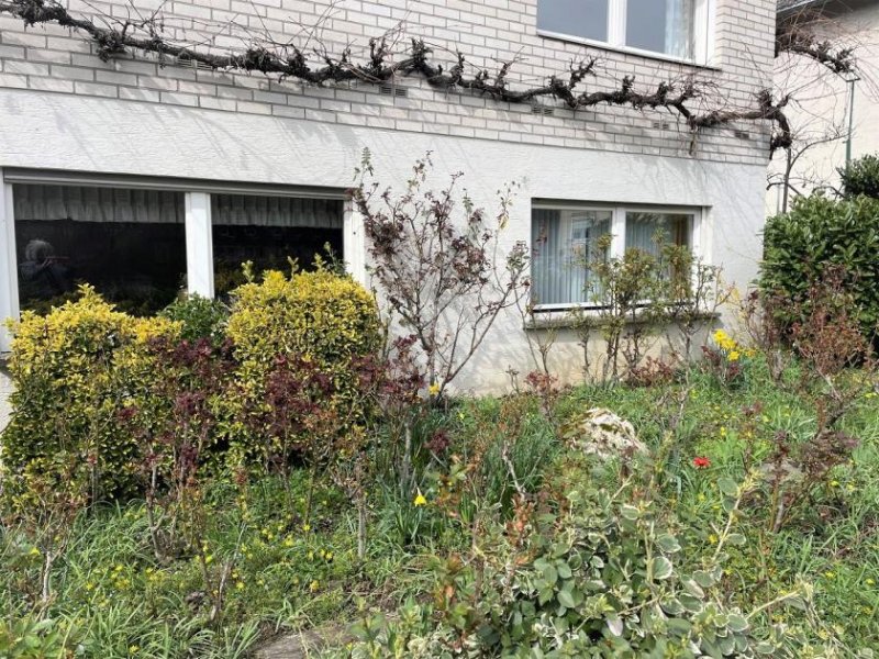Traben-Trarbach Einfamilienwohnhaus mit ELWhg. im sonnigen Traben mit Garten und Garage Haus kaufen