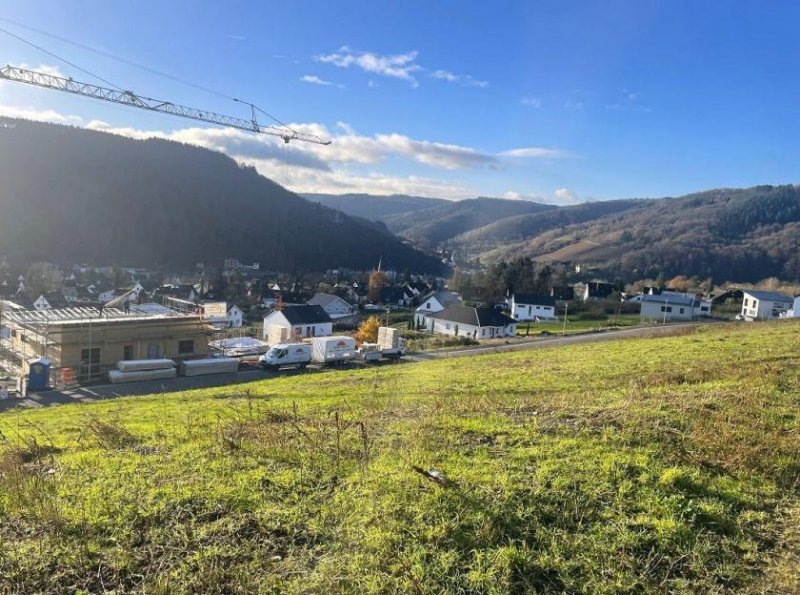 Traben-Trarbach exzelentes Baugrundstück 933 qm (erschlossen) in Traben mit Fernsicht über die Mosel und Weinberge Grundstück kaufen