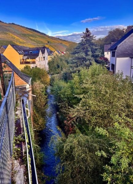 Briedeler Heck Frühjahres-Angebot: Wohnhaus mit 3 Wohnungen (Ferienwohnungen) an der Mosel Haus kaufen