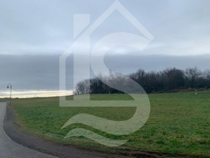 Peterswald-Löffelscheid Hier könnte Ihr Traum vom Eigenheim wahr werden!
Baugrundstück in Peterswald Grundstück kaufen