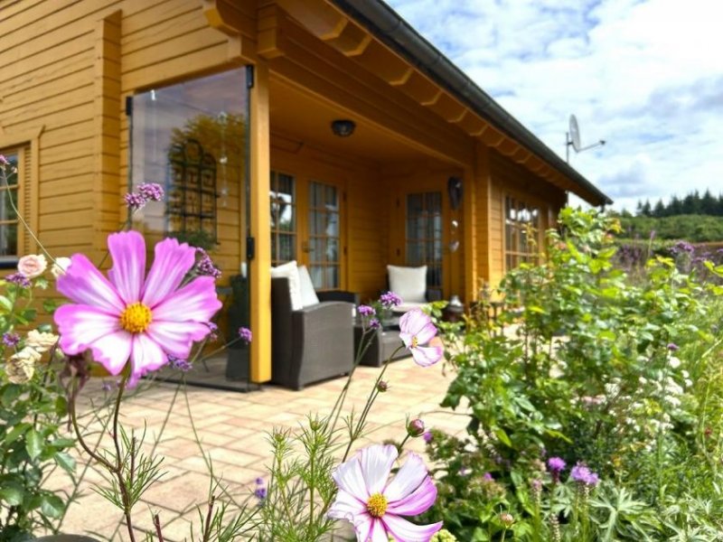Tellig Wohnhaus in Top Lage Nähe der Stadt Zell an der Mosel u. Nähe Blankenrath im Hunsrück (Energisklasse B) Haus kaufen