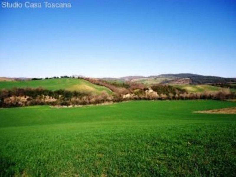 Pomonte Bauernhaus mit 18 Hektar Land in der Gemeinde Scansano Haus kaufen