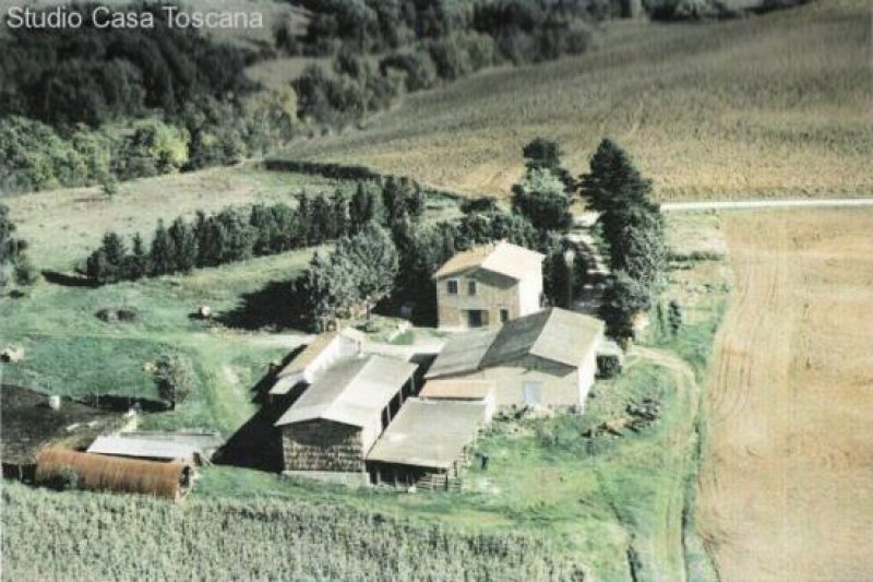 Pomonte Haus auf dem Land mit 15ha Land, Weinberg und Olivenhain Haus kaufen