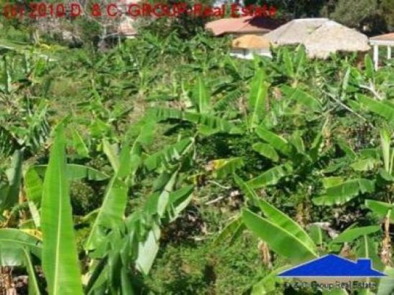 Sosua Baugrundstück Grundstück kaufen