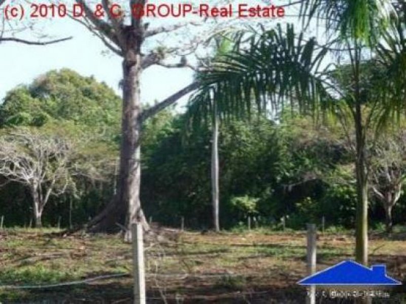 Sosua Baugrundstück in beliebter Wohngegend! Grundstück kaufen