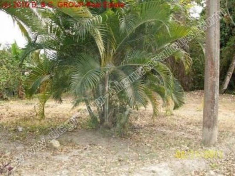 Villas Cofresi Schönes Grundstück! Grundstück kaufen