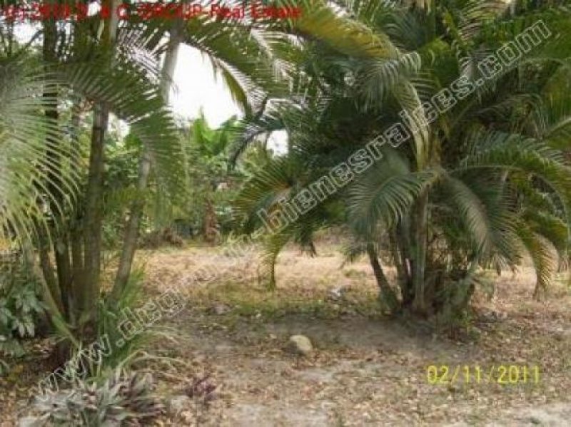 Villas Cofresi Schönes Grundstück! Grundstück kaufen