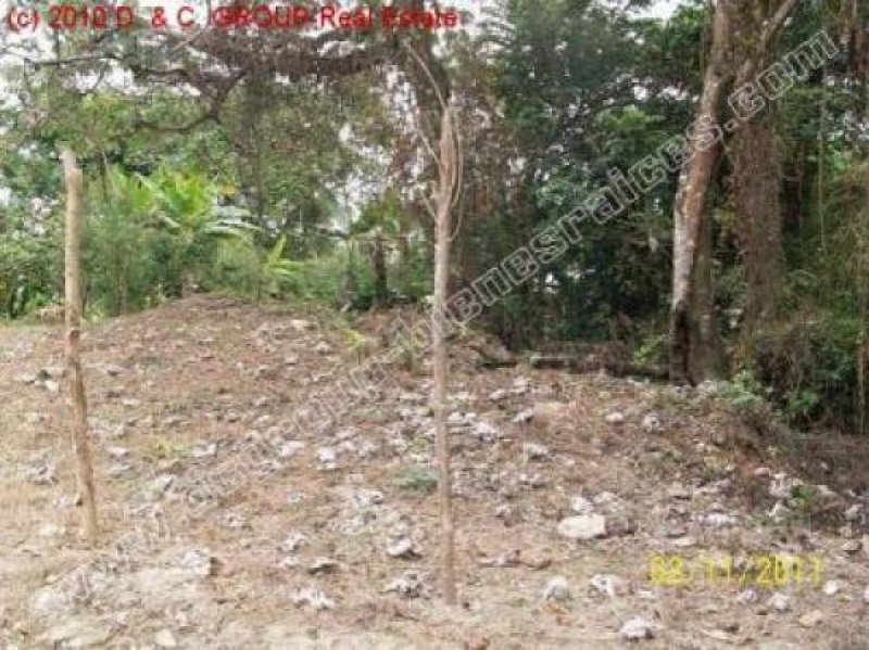 Villas Cofresi Schönes Grundstück! Grundstück kaufen