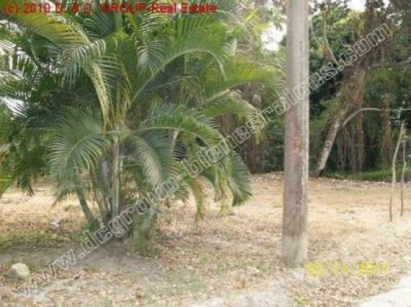 Villas Cofresi Schönes Grundstück! Grundstück kaufen