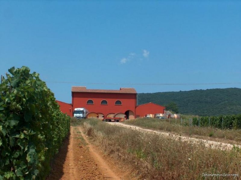 Orbetello Weingut in der Toscana bei Orbetello Haus kaufen