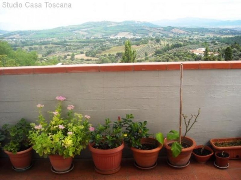 Caldana Gepflegte Wohnung mit schoenem Panorama Wohnung kaufen