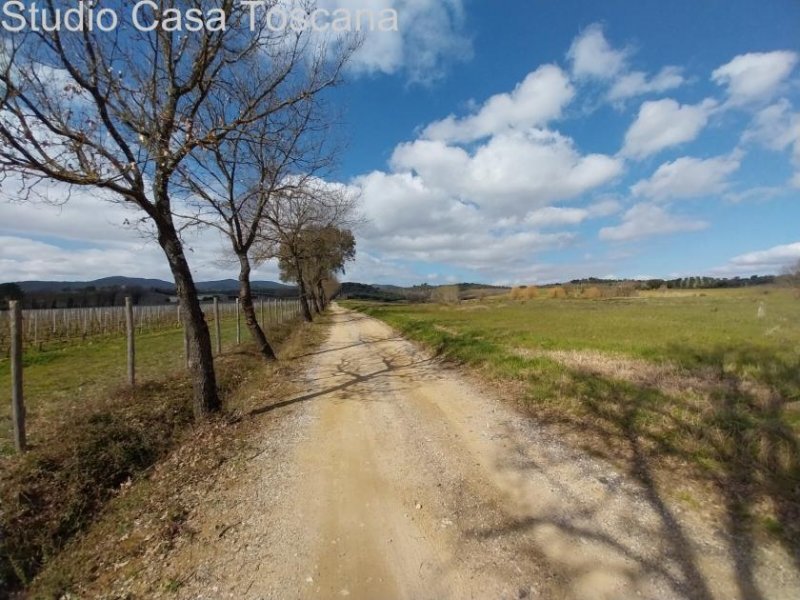 Caldana Land und Nutzgebäude in der Gemeinde Gavorrano 18 km vom Meer Grundstück kaufen