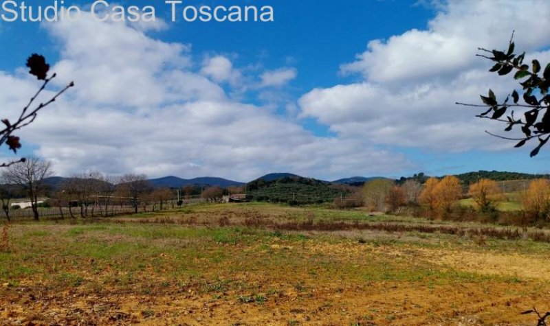Caldana Land und Nutzgebäude in der Gemeinde Gavorrano 18 km vom Meer Grundstück kaufen