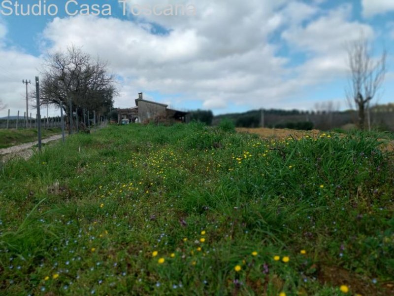 Caldana Land und Nutzgebäude in der Gemeinde Gavorrano 18 km vom Meer Grundstück kaufen