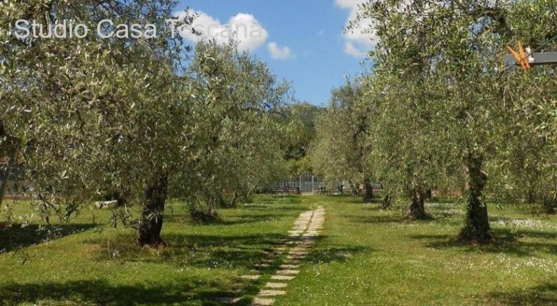 Caldana Natursteinhaus mit Ferienwohnungen und Pool Haus kaufen