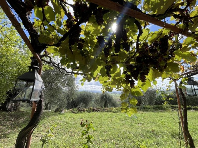 Giuncarico Traumhaftes toskanisches Landhaus Haus kaufen